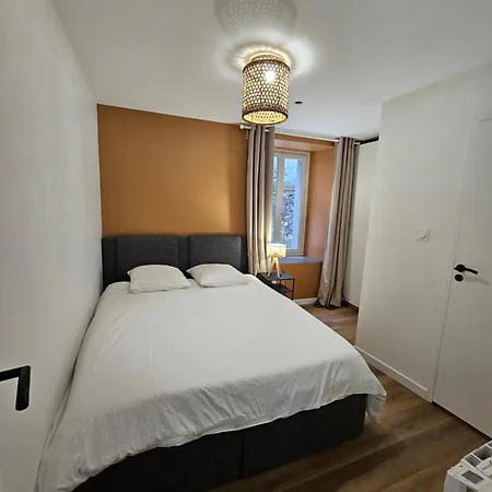 4, 5 Et 10 Personnes Renoves En Centre-ville Apartman Mont-Dore