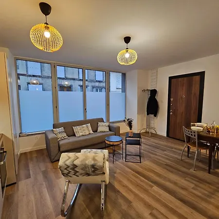 Apartman 4, 5 Et 10 Personnes Renoves En Centre-ville