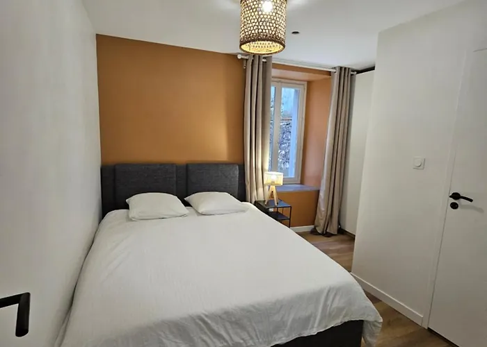 4, 5 Et 10 Personnes Renoves En Centre-ville Apartment Mont-Dore