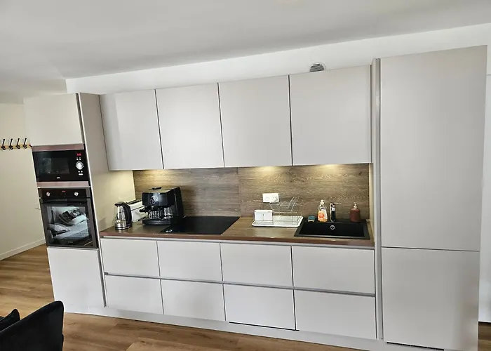 4, 5 Et 10 Personnes Renoves En Centre-ville * Mont-Dore