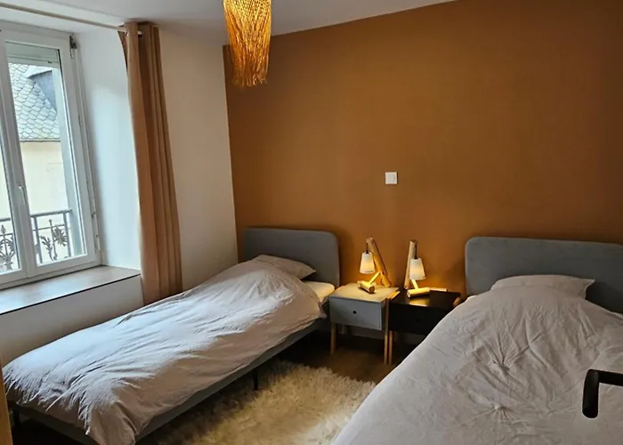 4, 5 Et 10 Personnes Renoves En Centre-ville Apartment