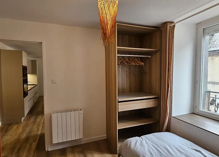 4, 5 Et 10 Personnes Renoves En Centre-ville Apartment Mont-Dore