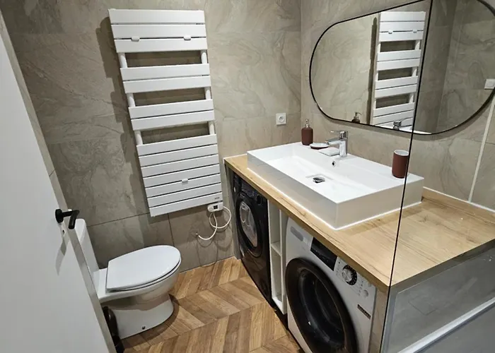 4, 5 Et 10 Personnes Renoves En Centre-ville Mont-Dore