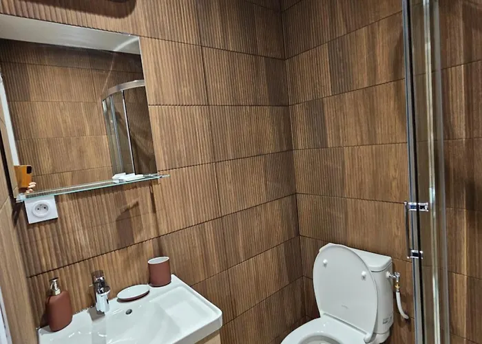 Apartment 4, 5 Et 10 Personnes Renoves En Centre-ville