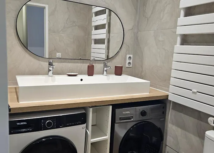 4, 5 Et 10 Personnes Renoves En Centre-ville Mont-Dore