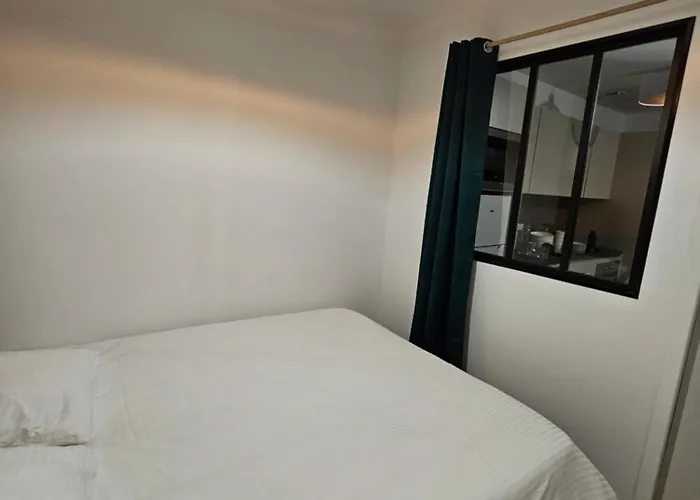 4, 5 Et 10 Personnes Renoves En Centre-ville Apartment Mont-Dore